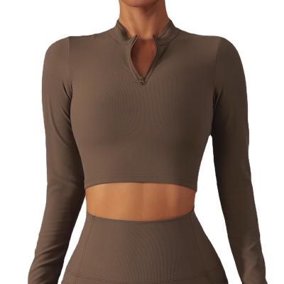 China Fitness Sportswear Women Fitness Sportswear Gym Long Sleeved Equipment Standing Top Long Sleeve Slim Exercise Running Nylon+Elastane Zipper Collar Crop Tops for sale