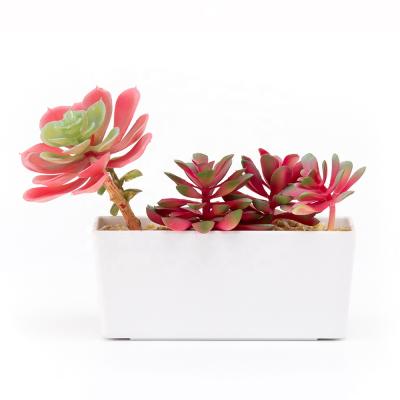 China Modern Plastic Square Melamine Flower Pots Small Rectangular Plant Rectangle Plant Succulent Pot for sale