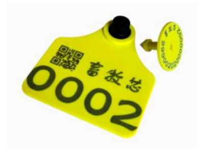 China Etiqueta de ganado UHF RFID con codificación e impresión Material TPU, etiqueta de oreja de vaca UHF RFID HAT06E en venta