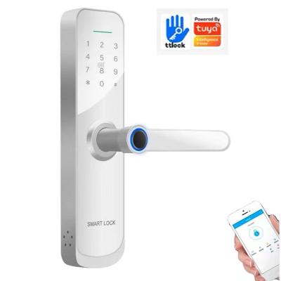 China (Fingerprint+ password+RFID card) â ‰ ¤ Cheap Biometric Ttlock Home Door Phone Door Biometric Fingerprint Security Digital Office 300 Smart Lock for sale