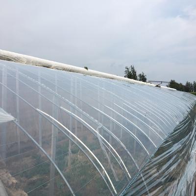 China 200 Micron Agricultural Plastic Greenhouse Anti-Drip Shed Film For Tomato for sale