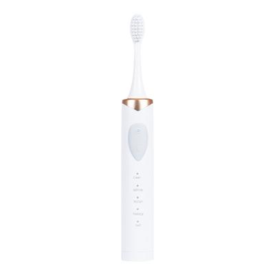 China 2020 Upcoming Rechargeable Oscillating Electric Toothbrush Adult and Kids Pink Blue White Wireless Power Battery USB Charging Outdoor PCs for sale