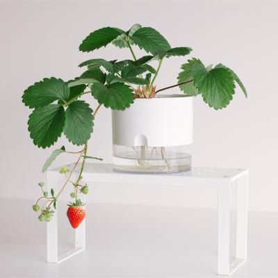 China Modern Round Cylinder Pot White Indoor Flower Grow Self Watering Flower Pot for sale