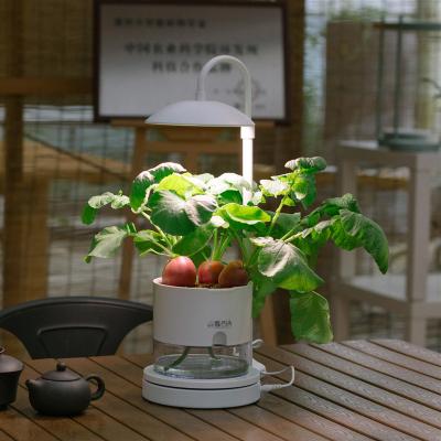 China Seed Starting Smart Plant Growing Lights Suitable For Various Flowers And Green Plants for sale