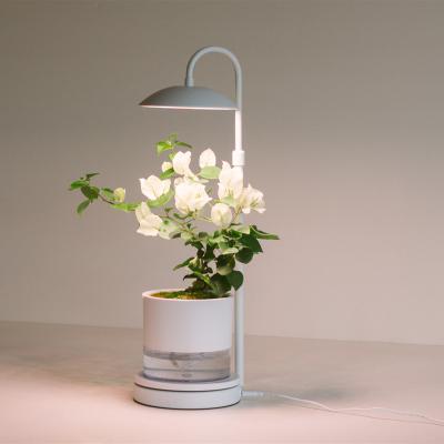 China Seed starting desk lamp for plant to grow for sale