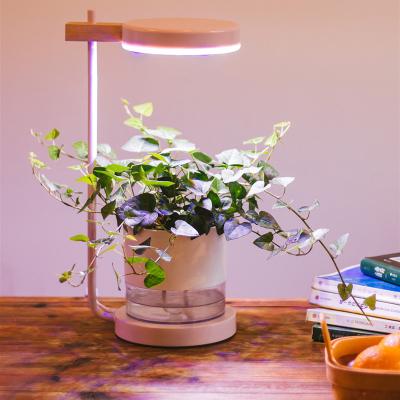 China Seed Seed Plant Grow Lamp LED Full Spectrum Suitable For Various Plants, Chinese Herbal Medicine, Flowers for sale