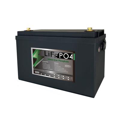 China Lithium Iron Phosphate Super Lion Lifepo 4 Battery Energy Storage 12V/24v/36v/48v 100Ah 200Ah 300Ah 400Ah 500Ah LFP Battery With BMS for sale