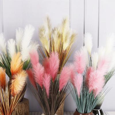 China Artificial Pampas Grass Wedding Home Wholesale Minimalist Fake Large Decorative Tubular Branch Hotel Store Other Decorative Flowers And Plants for sale