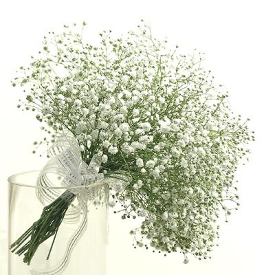 China Fresh Flower Preserved A-Grade Gypsophila Baby Breath Flower Decoration Wedding Luxury Preserved Baby's Breath Flower for sale