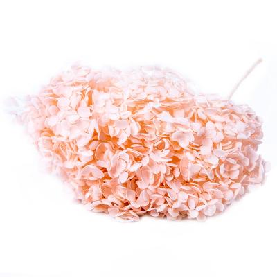 China Beautiful Colorful Home Wedding Decoration Dried Flower Preserved Hydrangea for sale