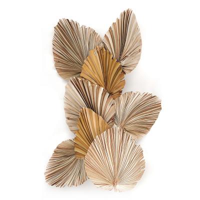 China Decoration Home Wedding Decor Natural Flowers Pampas Dried Palm Leaves Palm Leaf for sale