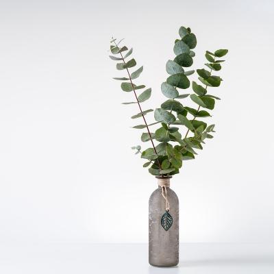 China Decoration Hot Sale Real Touch Decorative Eucalyptus Leaves Foliage Preserved Eucalyptus Stem for Home Wedding Decor for sale