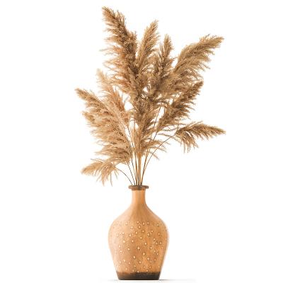 China Natural Dried Flowers Bouquet Dried Stem Flocking Large Pampas Grass Decor Pampas Bouquet Preserved Phragmites Australis for sale