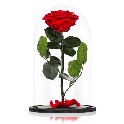 China Romantic Hot Selling Valentine's Day Decoration Mothers Day Gift Preserved rose in glass dome Eternal Rose for sale