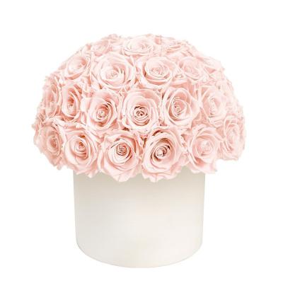 China Mushroom Style Valentine's Day Gift A Grade Eternal Immortal Roses Mushroom Style Flower Head Preserved Real Roses in Round Box for sale