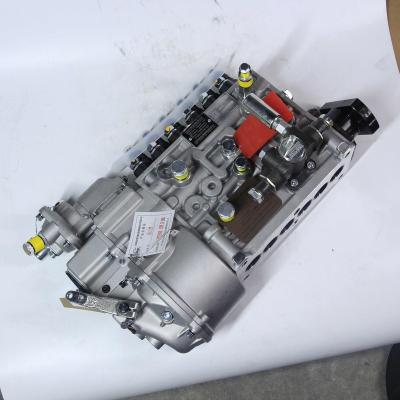 China Heavy Duty Truck Fuel Injection Pump VG1560080022 For Sinotruk HOWO Truck Engine for sale