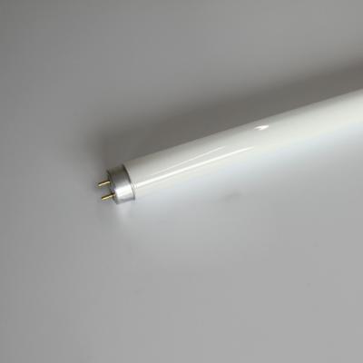 China China Suppliers Gold Glass T8 Lamp 36W High Lumens Fluorescent Tubes, T8 Fluorescent Lamps 15W for sale