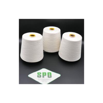 China Carpet Knitting Anti-bacteria Spo Premium Brand Silk Yarn Raw Silk Yarn Price for sale