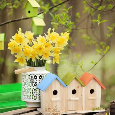 China Birds 3 Hole Bird House For Outdoors/Indoors/Hanging Decorative Outdoor Aviary For Birds for sale