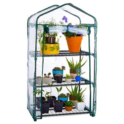 China Hot Portable Mini Garden House Outdoor Plant Grow Tent for Growing Seeds PVC Coating Warm Clear Green House for sale