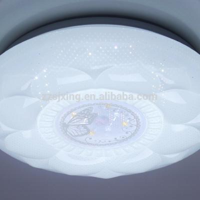 China Celling Surface Mounted Hanging Led Lights For Decorative for sale