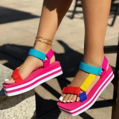 China Newest Hot Fashion Trend Design Platform Summer Flat Slide Sandal Shoes Wedge Slipper Sandals for Women and Ladies for sale