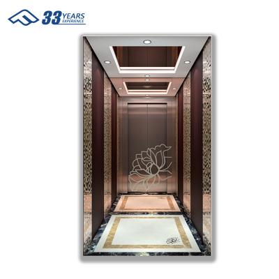 China Hot Sale Residential Home Villa Elevator Lift Price For Residential Elevators Usage for sale