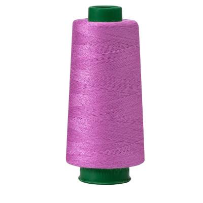 China Various Abrasion Resistance Supplier Promotional Goods Using 100% Polyester Industrial Sewing Thread for sale