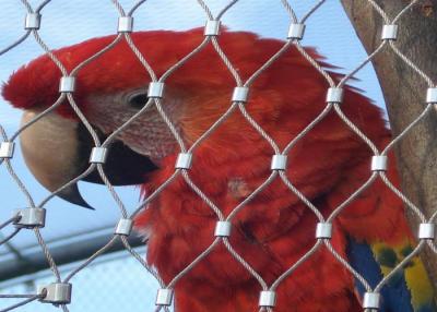 China Flexible Inox Aviary Wire Netting , AISI316 Woven Cage And Aviary Wire Mesh for sale