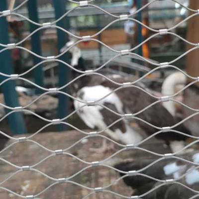 중국 316 로프 동물원 울타리 망 스테인레스 스틸 유연한 조류장 철망 판매용