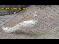 zoo enclosures