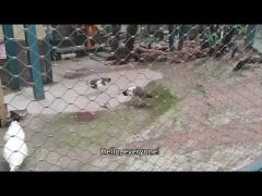  zoo enclosure net