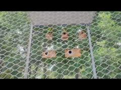 Bird Language Forest Net