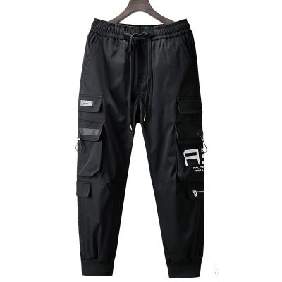 China Anti-Wrinkle Ready To Ship Quick Dry Jogging Cargo Pants Men's Casual Pants for sale