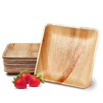 China Hot Sale Home Eco-Friendly 100% Palm Leaf Dish Restaurant Hotel Bamboo Dishes for sale