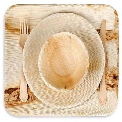 China Home Restaurant Logo Palm Leaf Plates Custom Hotel 10 Inch Disposable Dishes for sale