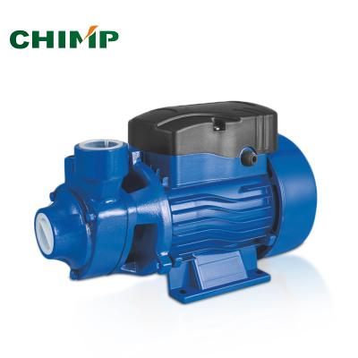 China High Efficiency STRATEGY 60 70 80 Series 1hp Vortex 2 Hp Surface Water Booster Irrigation Pump for sale