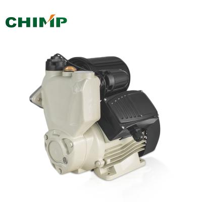 China High Efficiency Pressure Smart Booster Automatic Self Priming Water Pump for sale