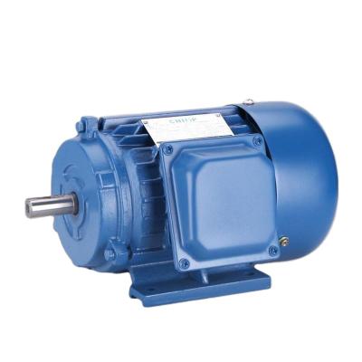 China IP44/IP54 Y Series Three Phase Electric Motors for sale