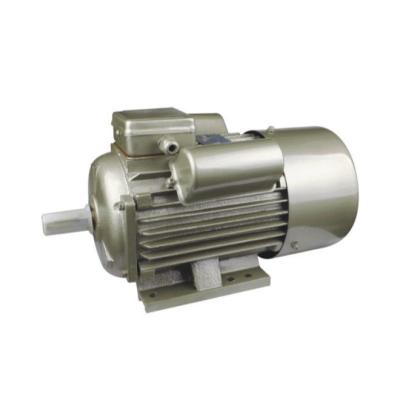 China Capacitor IP44 (or IP54) YL Series Single Phase 1400rpm Electric Motor Starting/Running 1400rpm for sale