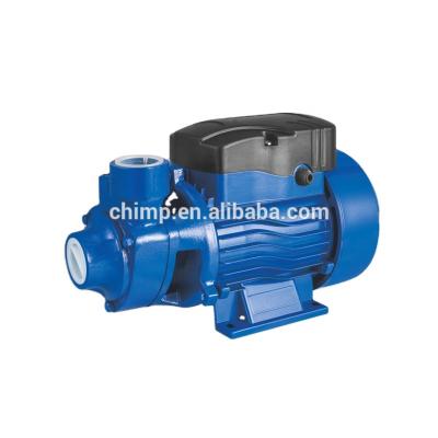 China Family Homes Strategist Clean Water Pumps For Garden Use With Ce for sale