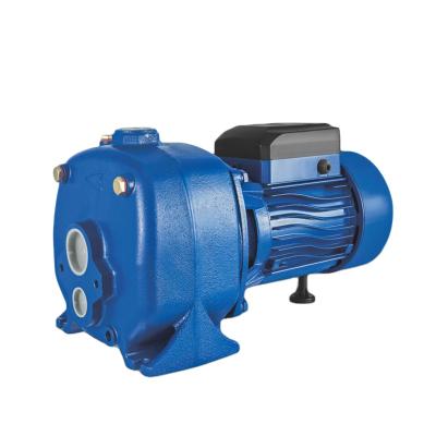 China Garden Irrigation 0.75kw Self Priming Stainless Steel Low Noise Jet Water Pump for sale