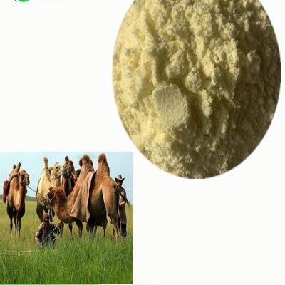 China immune & Wholesale 100% pure natural fresh camel milk powder OEM good quality OEM cheap price 1kg for sale