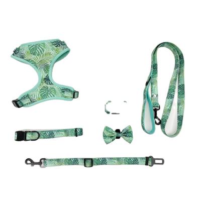 China Outdoor Chest DETACHED Harness Dog Leash Set Custom To Create Your Exclusive Pet Supplies With Collar for sale