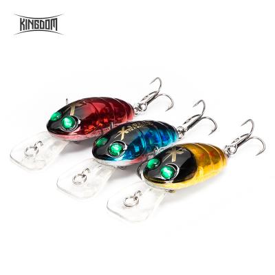 China Hot Sale Custom 65mm Saltwater 9g Freshwater Crank Realm 3505 Luminous Bait Crank Bait Minnow Lure Surf-Walker Floating Wobblers Tackle Luminous for sale