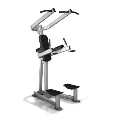 China Commercial use gym equipment commercial power tower chin up /dip station pure commercial fitness training machine for sale