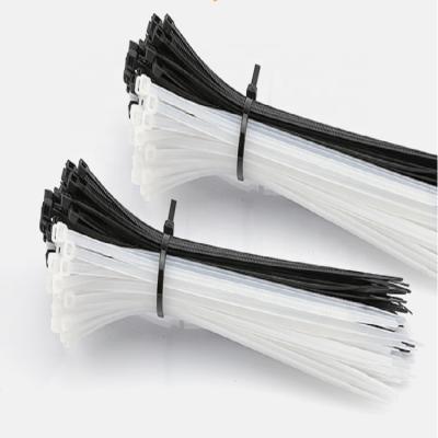 China New Design Custom Color 2.5*100mm Nylon Cable Tie.etc 66 Plastic Self Locking Cable Tie for sale