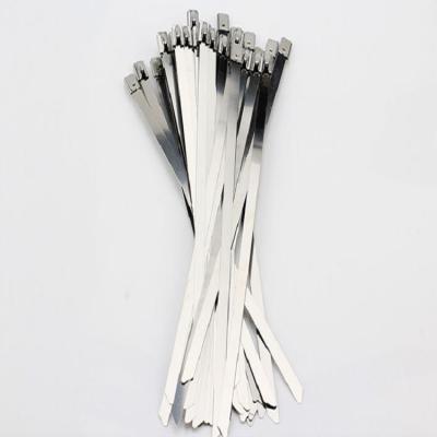 China New Cable Tie.etc Factory Online Store Cheap Direct Selling 201/304 Stainless Steel Cable Tie for sale