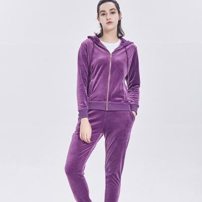 China Wholesale High Quality Cloth Woman Pajamas Fleece Women Active Jacket Coral Comfortable Gym Pants Ladies Hooded Tracksuits Tracksuit for sale