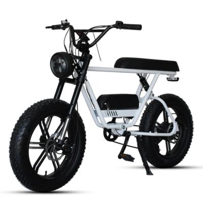 China Hot-selling aluminum alloy 48v 14ah/17.5ah fat electric bike for adult for sale